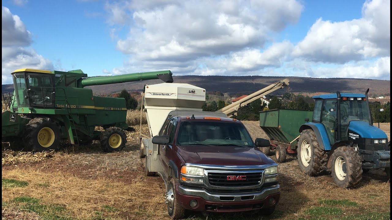 Harvesting a test plot for research (Farm vlog 12)