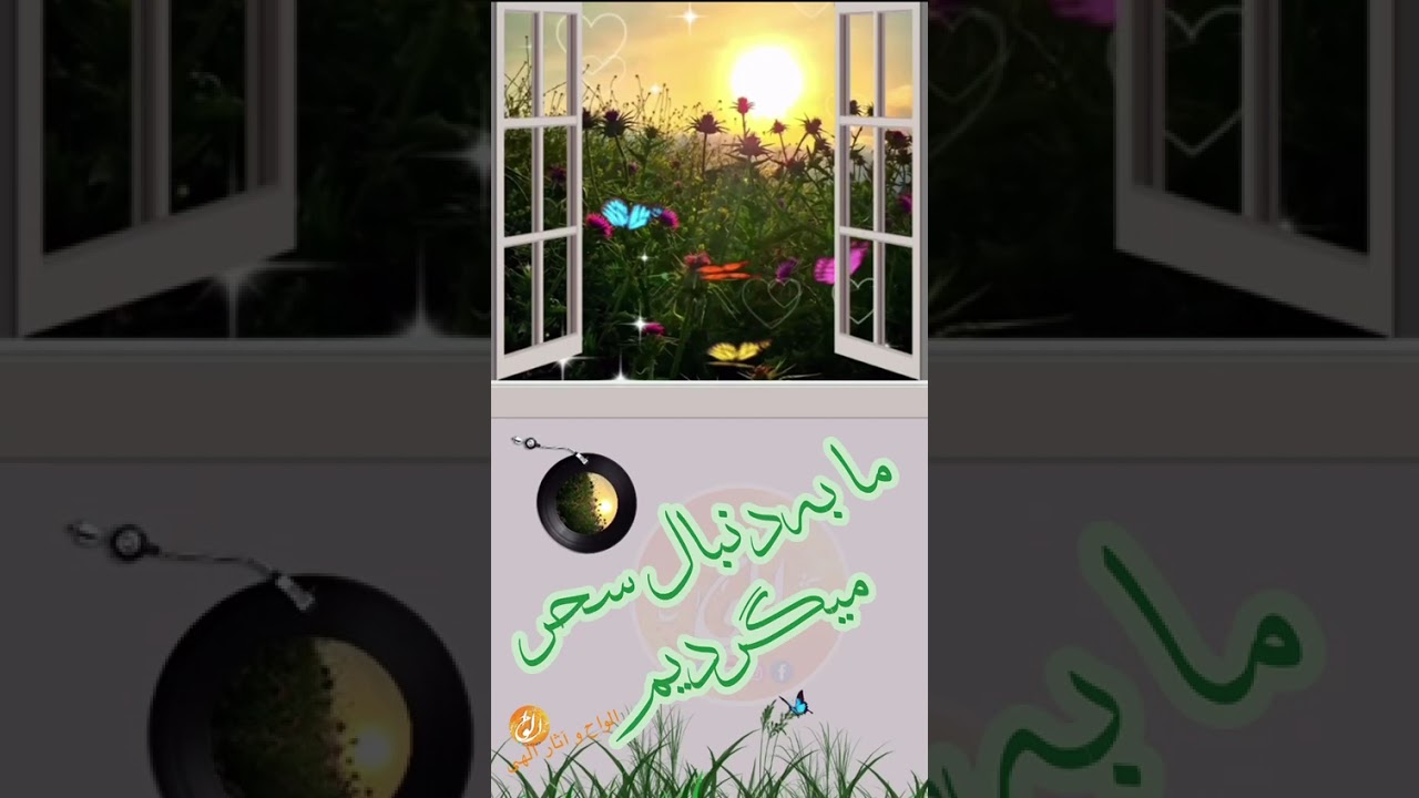 ما به دنبال سحر می گردیم