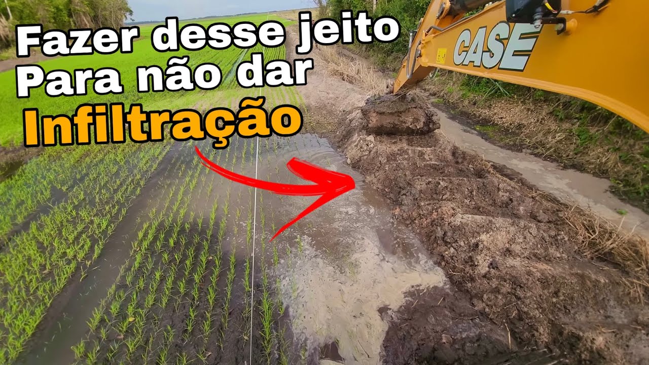 FAZENDO TAIPA DE CONTENÇÃO PARA NÃO DAR INFILTRAÇÃO ✅💦 Escavadeira hidráulica 2 