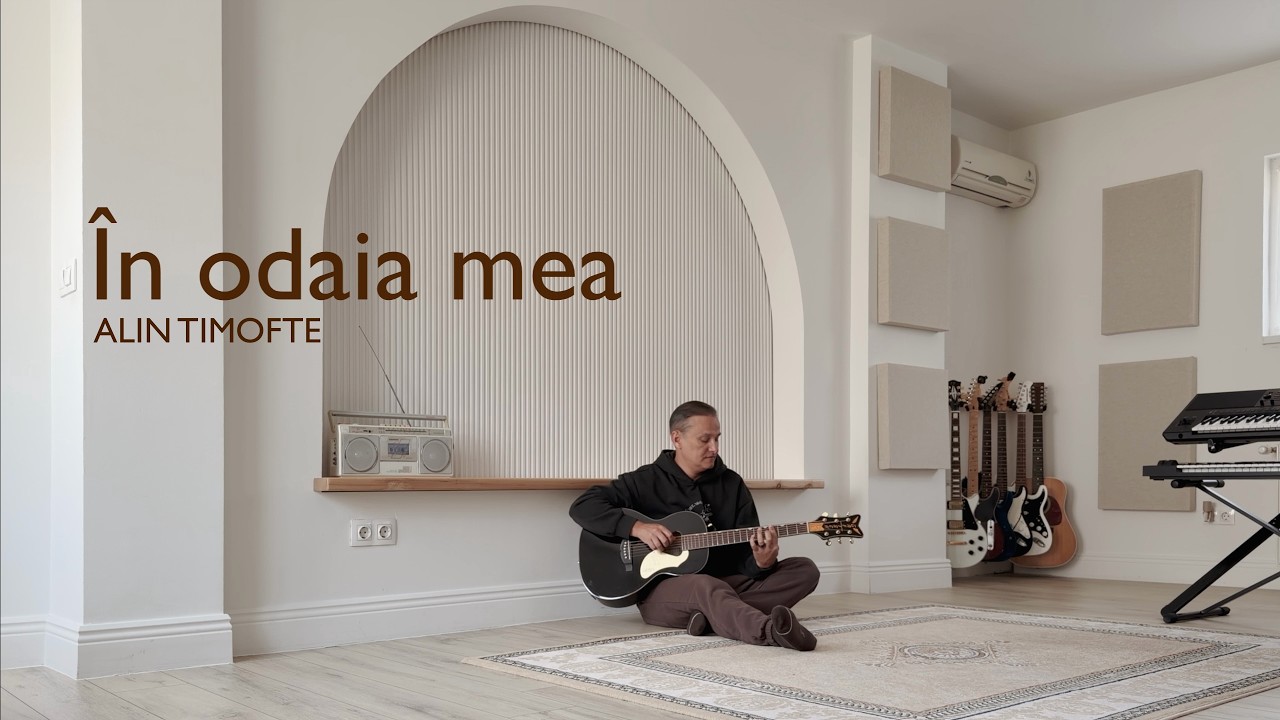 In odaia mea - Alin Timofte