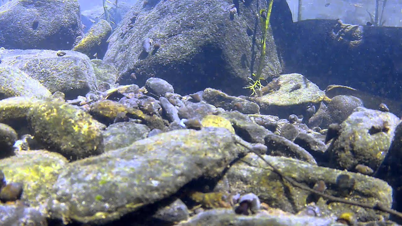 Kentucky Wild Rivers: Green River