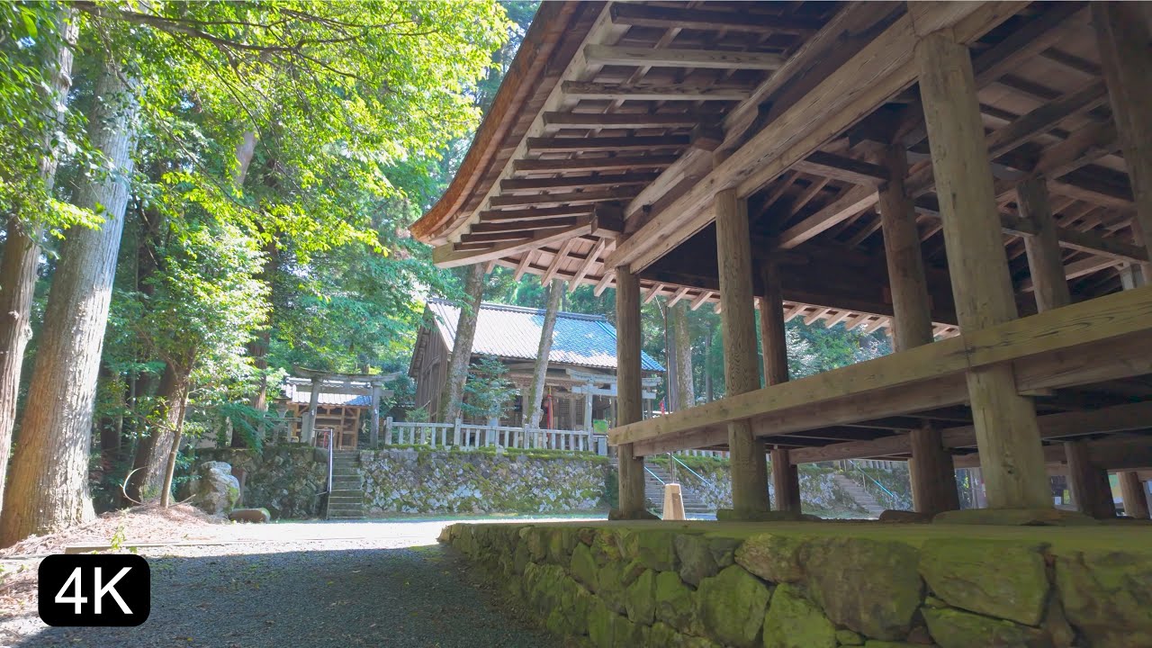 4K Japan Immersive Walk | Sun-Drenched Serenity: A Rural Shrine and its Sacred Forest