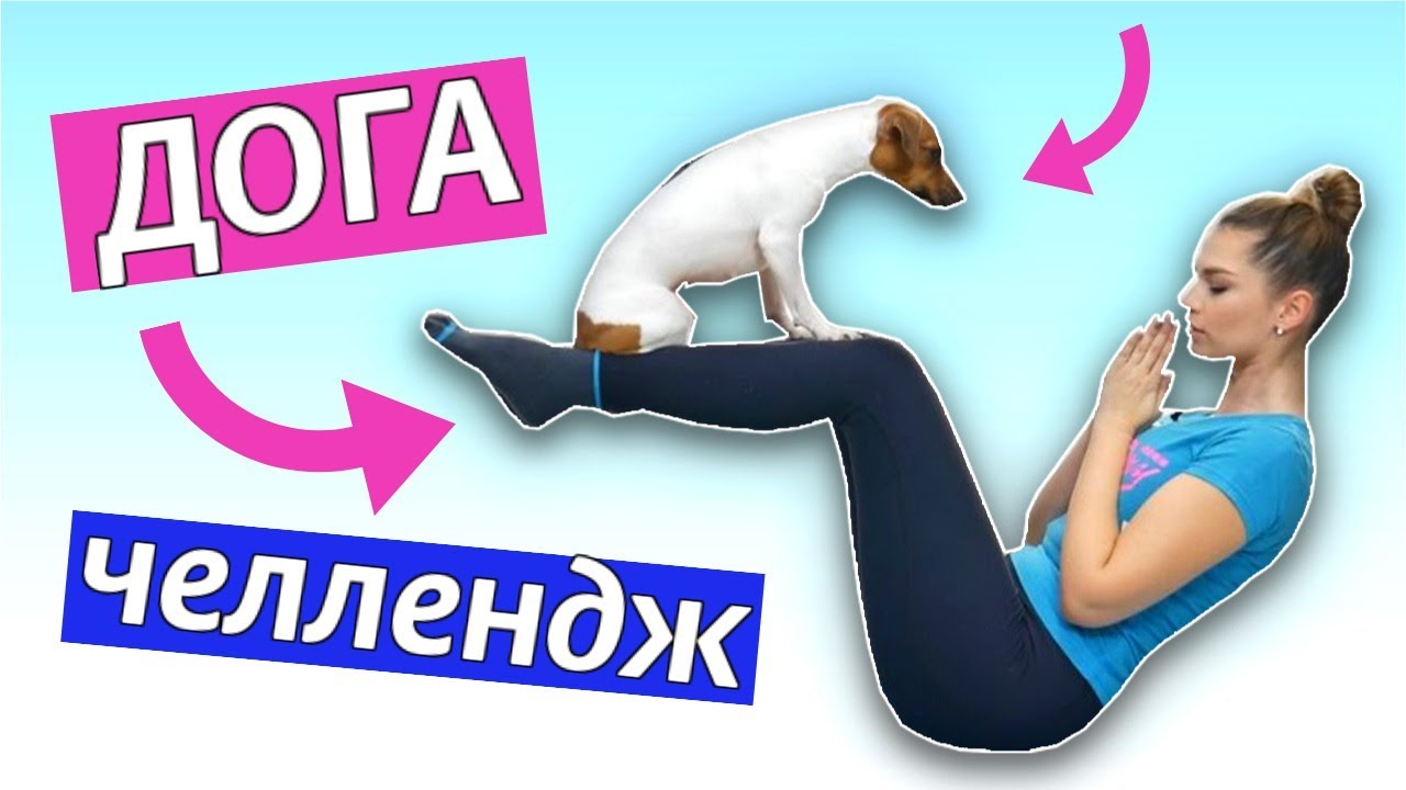 ДОГА ЧЕЛЛЕНДЖ 🧘➕🐕 | ЙОГА С СОБАКОЙ | Doga challenge