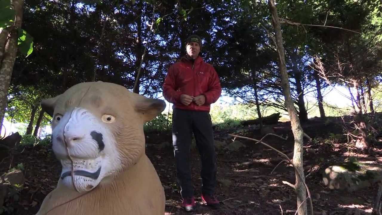 Mountain Lion Attack Tips