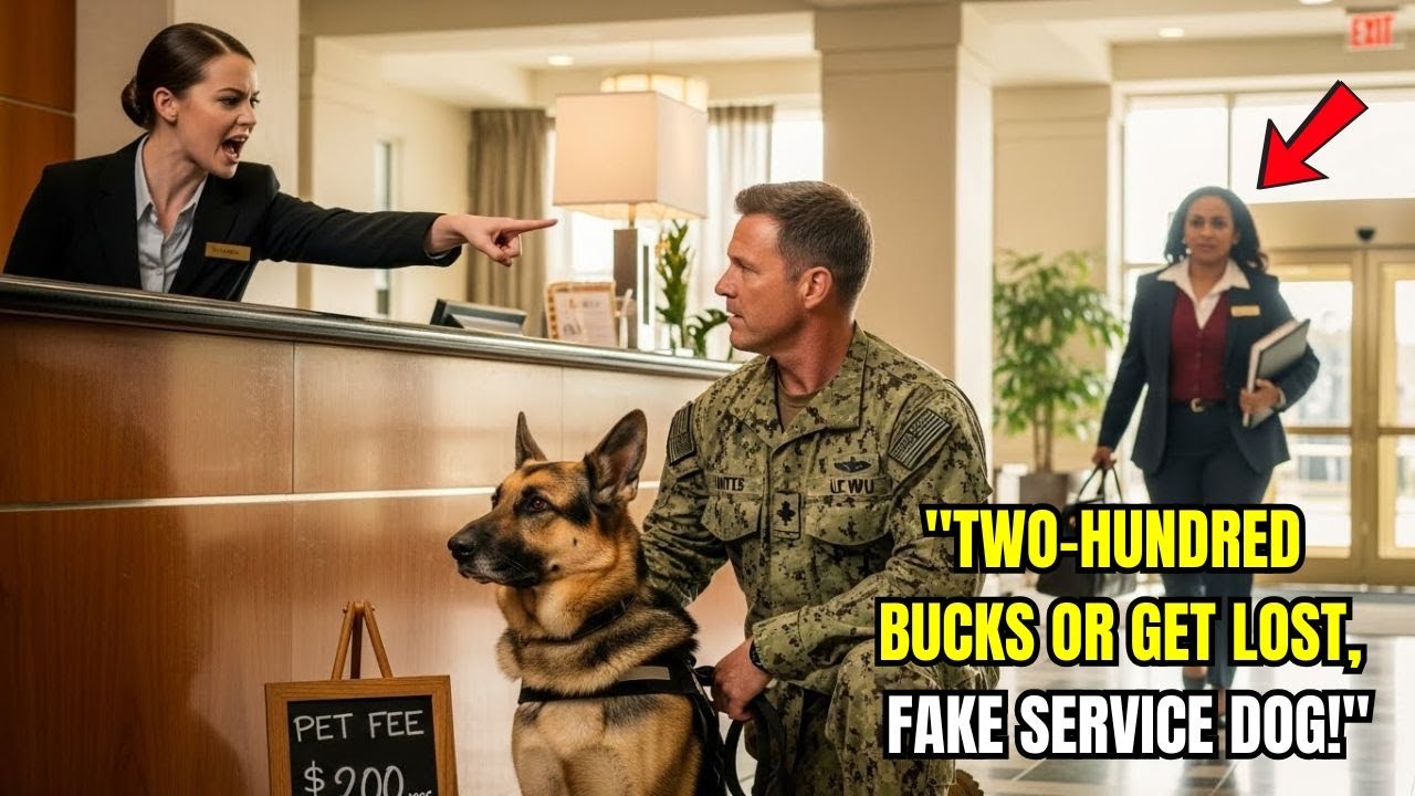 Hotel Billed a Navy SEAL for His Service Dog — 5 Minutes Later, the Hotel Got Shut Down
