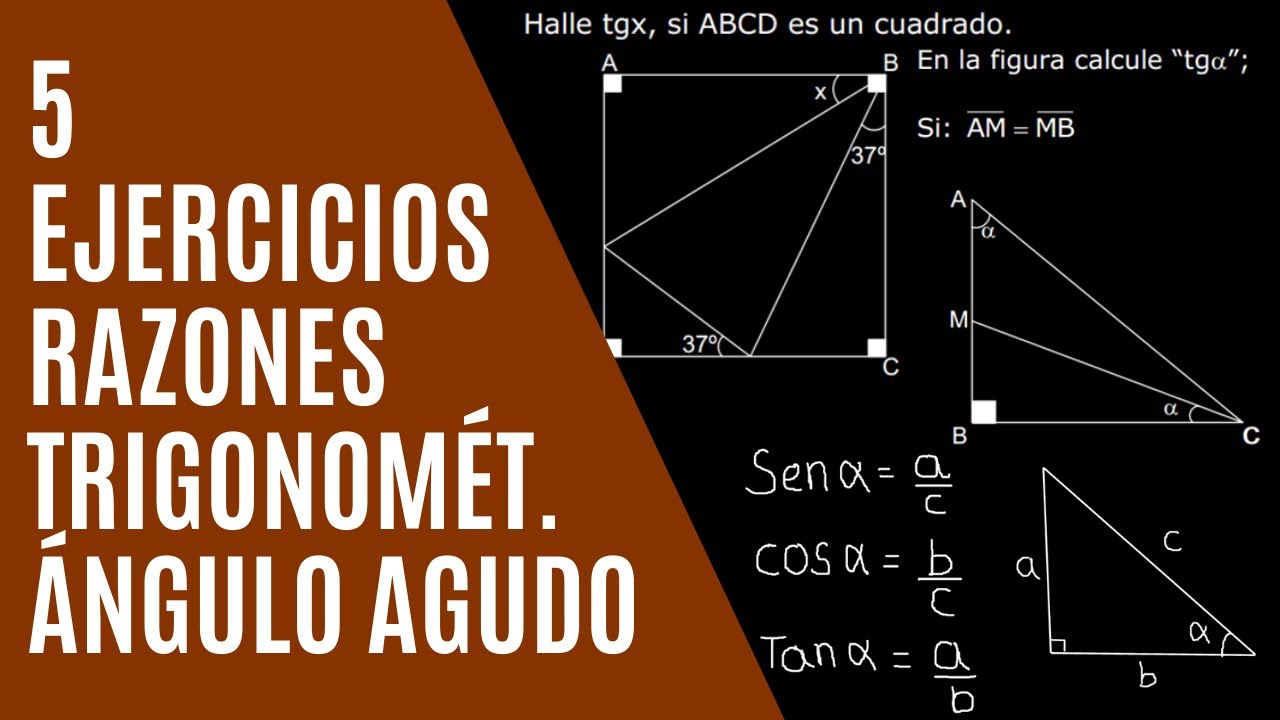 5 EJERCICIOS DE RAZONES TRIGONOMÉTRICAS DE ÁNGULOS AGUDOS - TRIGONOMETRIA