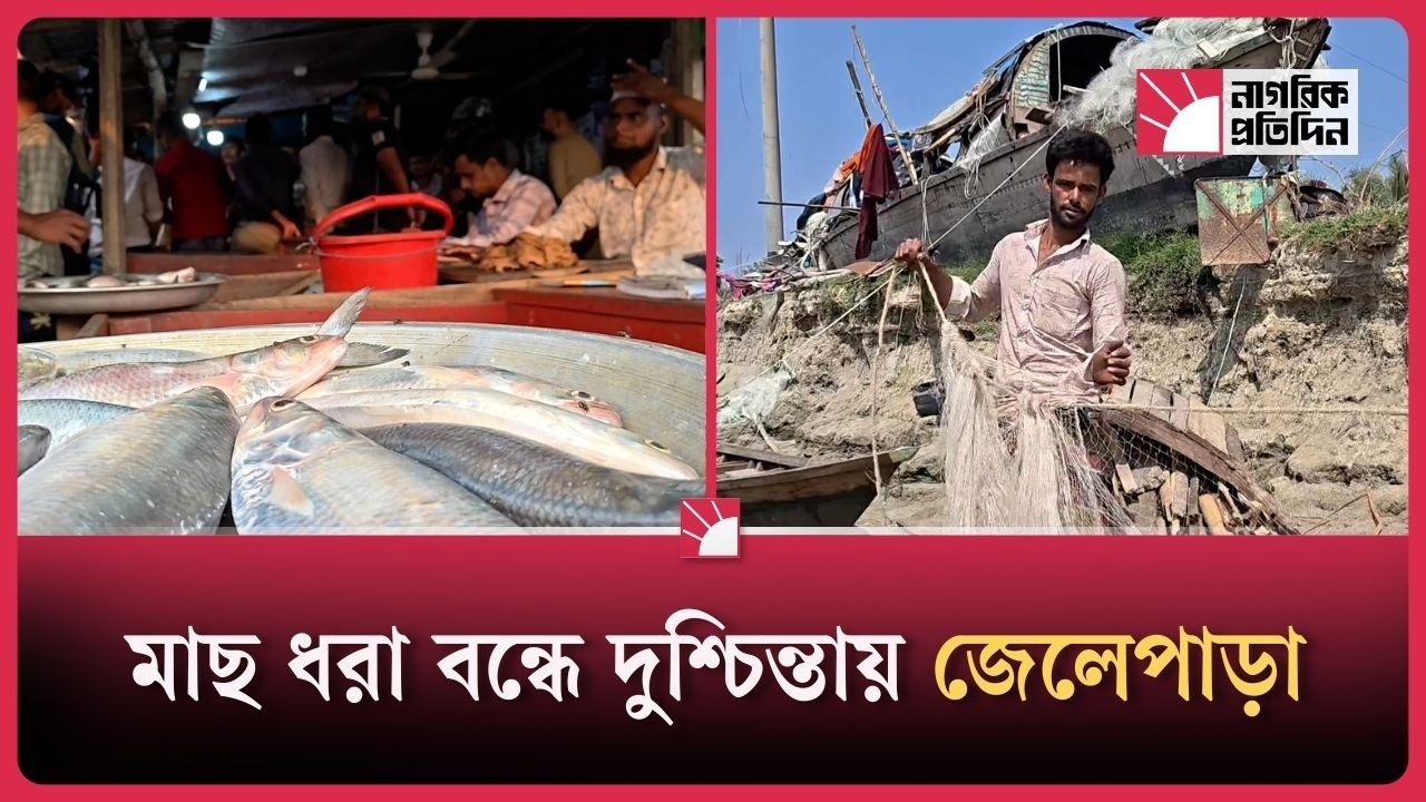 জাটকা ইলিশ সংরক্ষণে ১ মার্চ মধ্যরাত থেকে দুই মাস মাছ ধরা নিষিদ্ধ | Hilsa Fishing Ban
