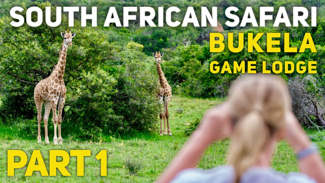 South Africa Safari! Bukela Game Lodge, Amakhala Game Reserve, South Africa 2020 Part 1