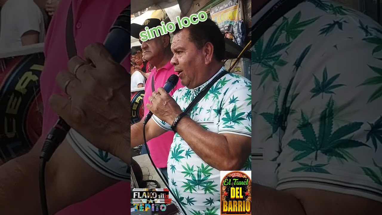 Simio loco en el túnel del barrio de Tepito 