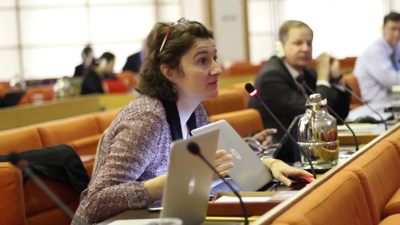 Global Symposium on Soil Organic Carbon (GSOC17) – Key Moments