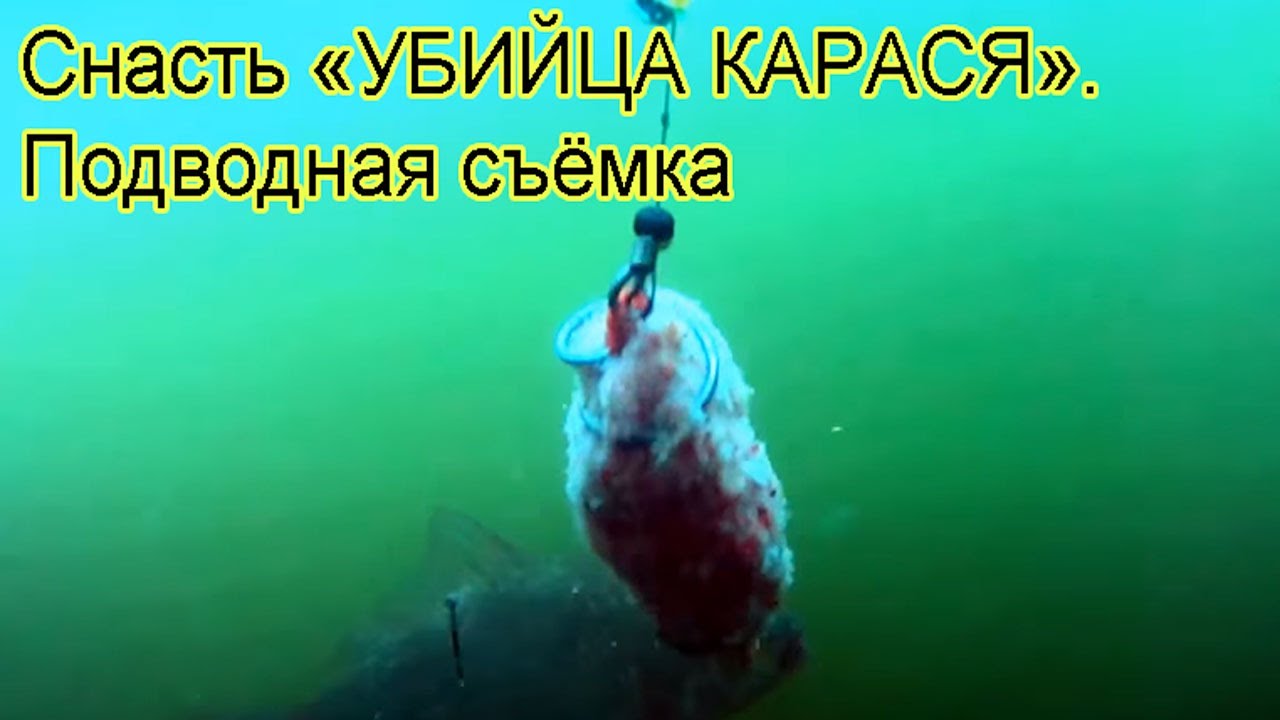 Снасть «УБИЙЦА КАРАСЯ». Подводная съемка, рыбалка. Ловля карася на озере Карасун. Fishing