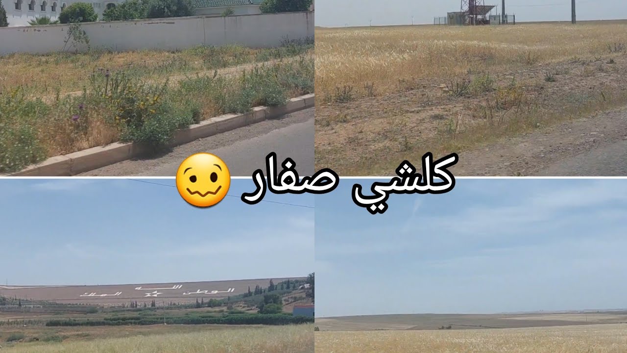 سبحان مبدل الاحوال 🤲 بداية الحصاد🚜