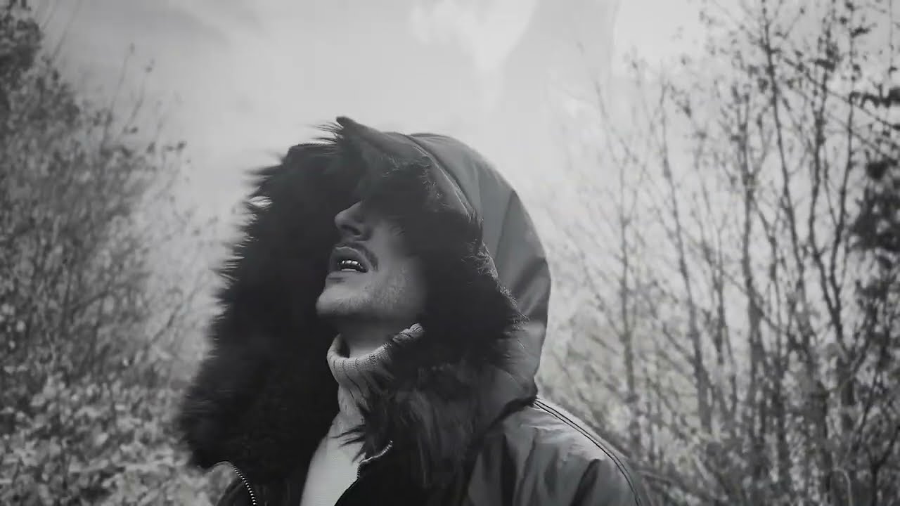 derselbe - denise franco (musikvideo)