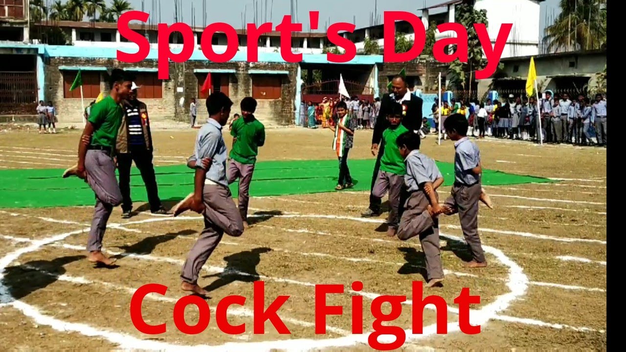 SMSN | Sport's Day | Cock Fight | 8 |