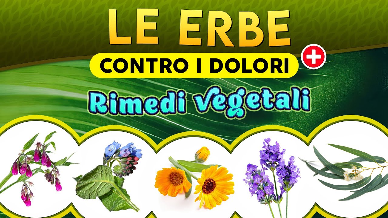 Le Erbe contro i dolori: rimedi vegetali ► Puntata 236