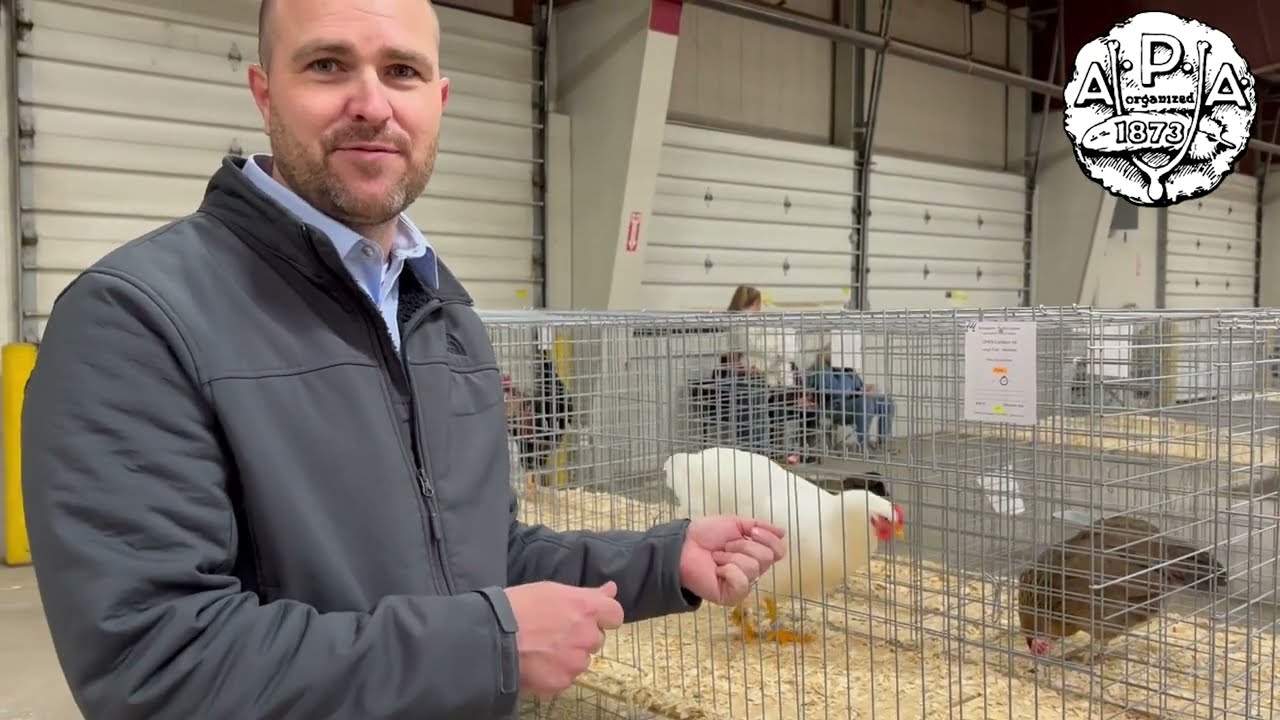 Jonathan Patterson shares how he judges the American Class at the 2022 APA Annual