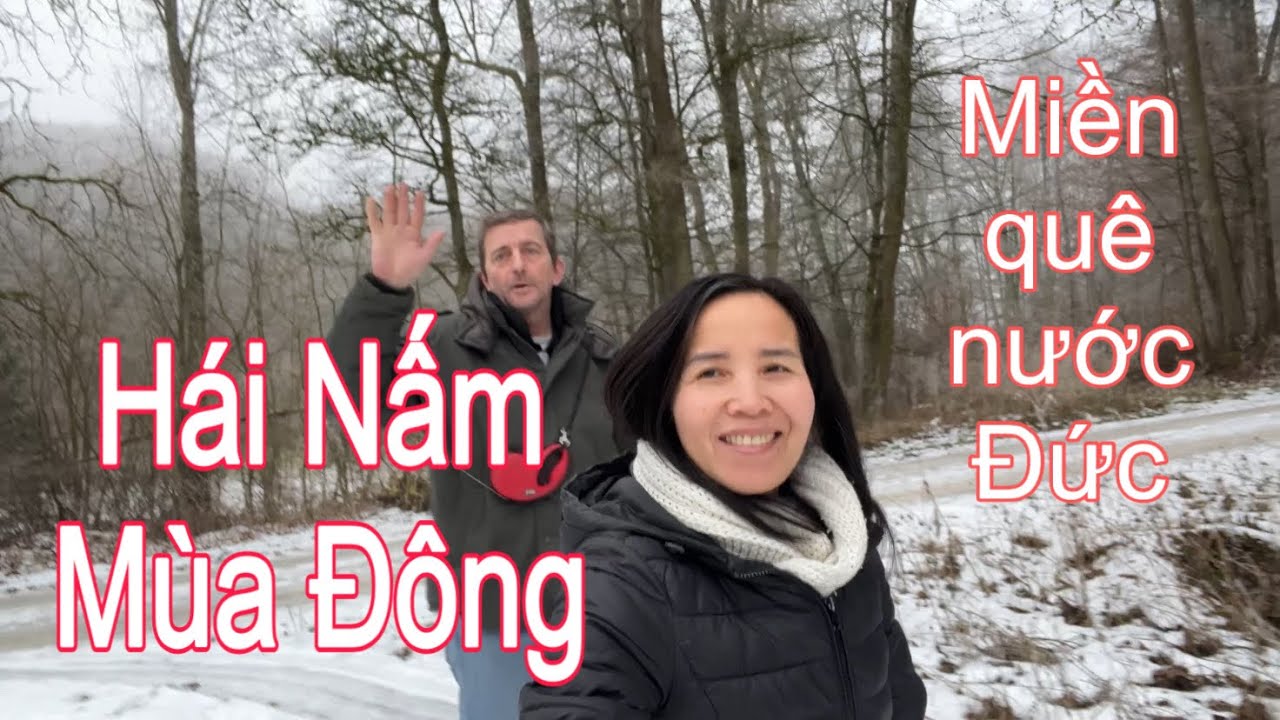 Ở Đức nấm này không tốn tiền mua | Người Việt ở Đức | Cuộc sống nông thôn ở Đức