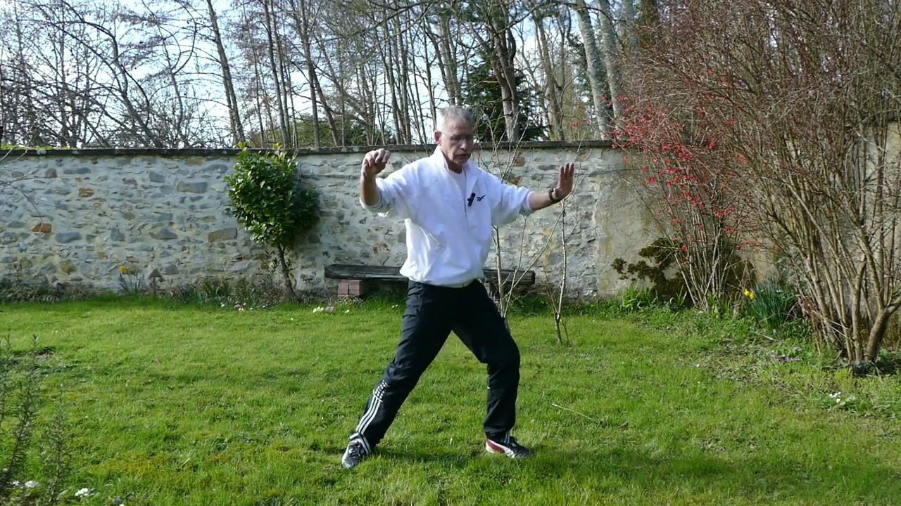 Tai Chi Chuan : Peng, lu, ji, an ; simple fouet ; lever les mains ; les mains comme les nuages