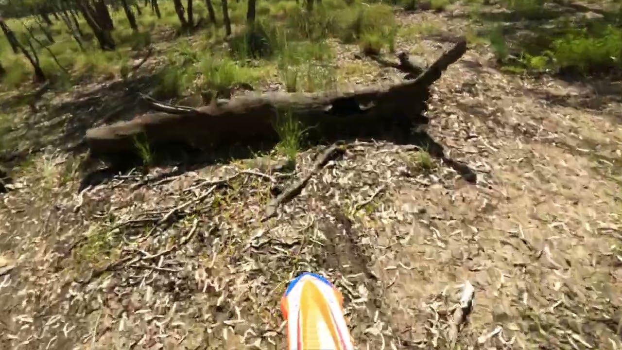 Roma Enduro Track, a Christmas Special Part 1