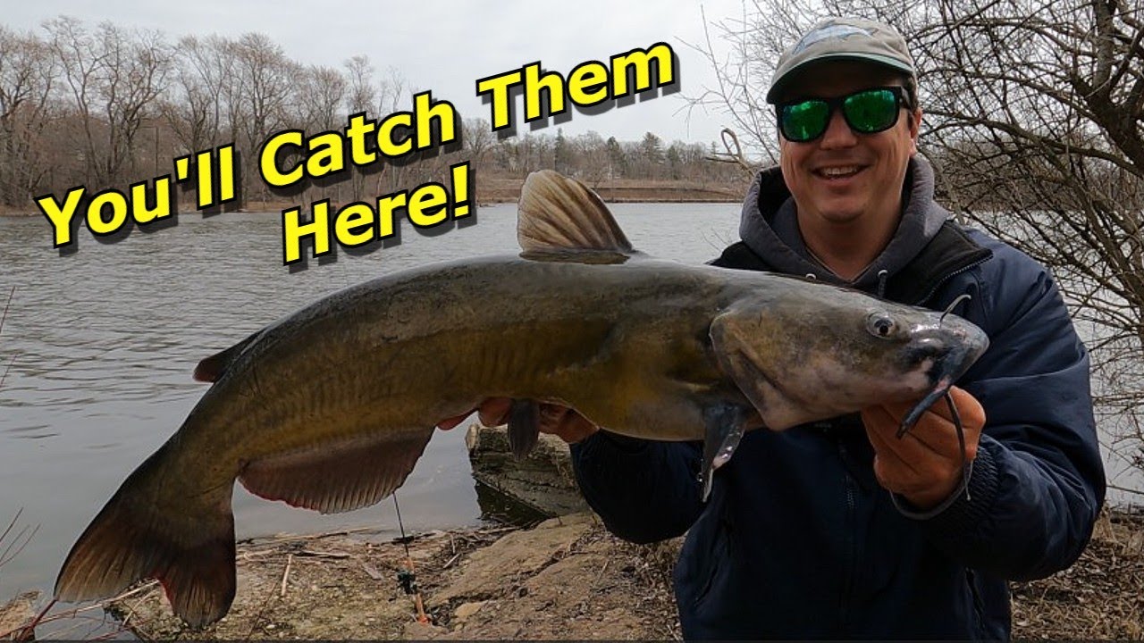 Tips to Catch TONS of Catfish from Shore Right Now! (Fast Action)