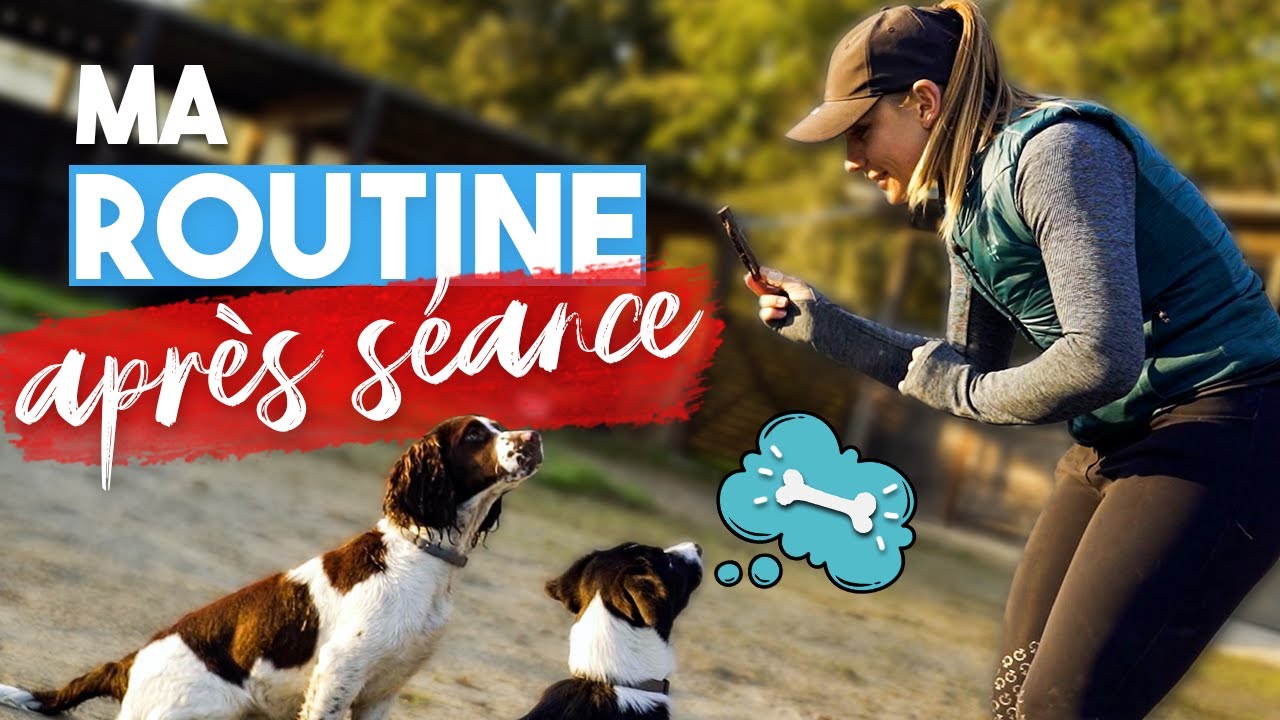 ROUTINE APRÈS SÉANCE en cordelette au lever du soleil ☀️