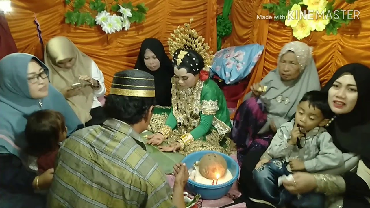Malam pacci ang'aru