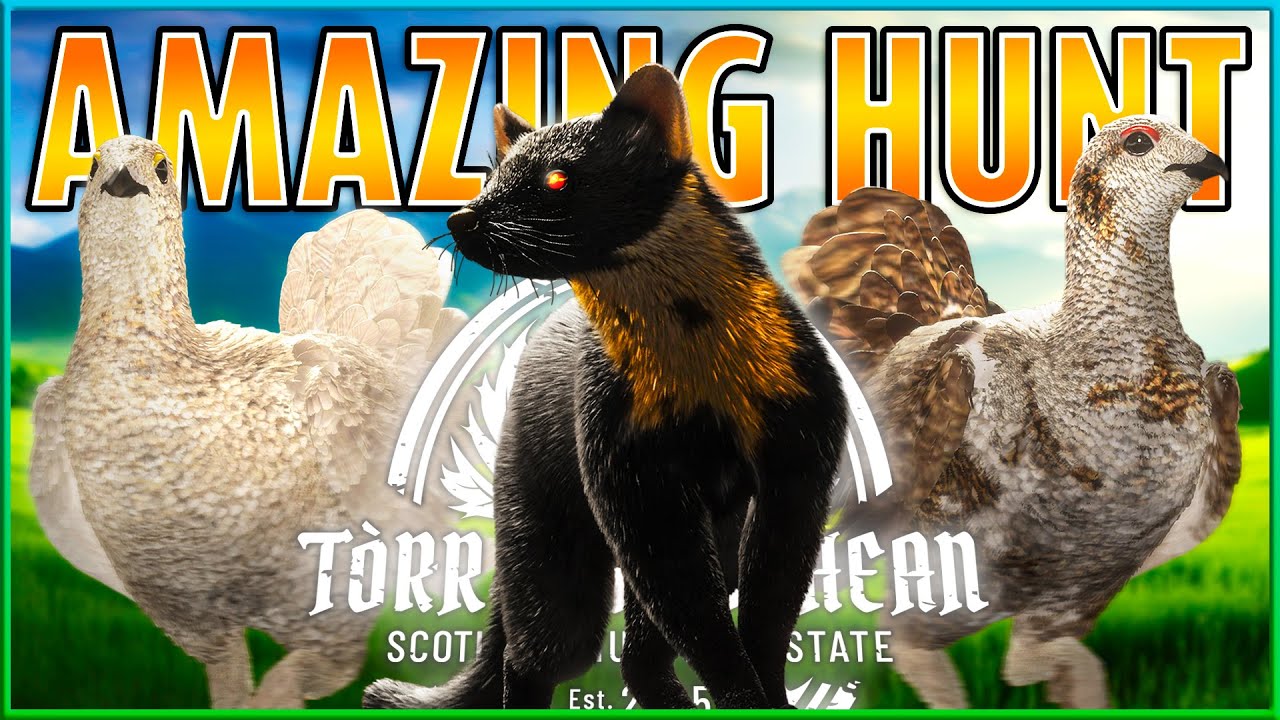 Triple RARE Hunt (+ Crazy Diamonds) on Scotland! - theHunter Call of the Wild