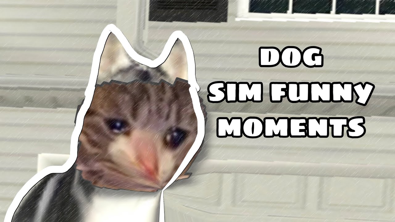 Funny Moments | Dog Sim Online | #3