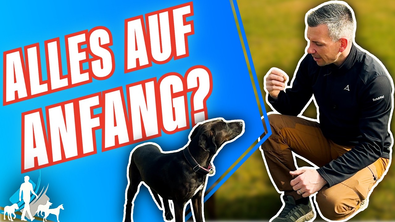 DARUM FÄNGST DU IMMER VON VORNE AN