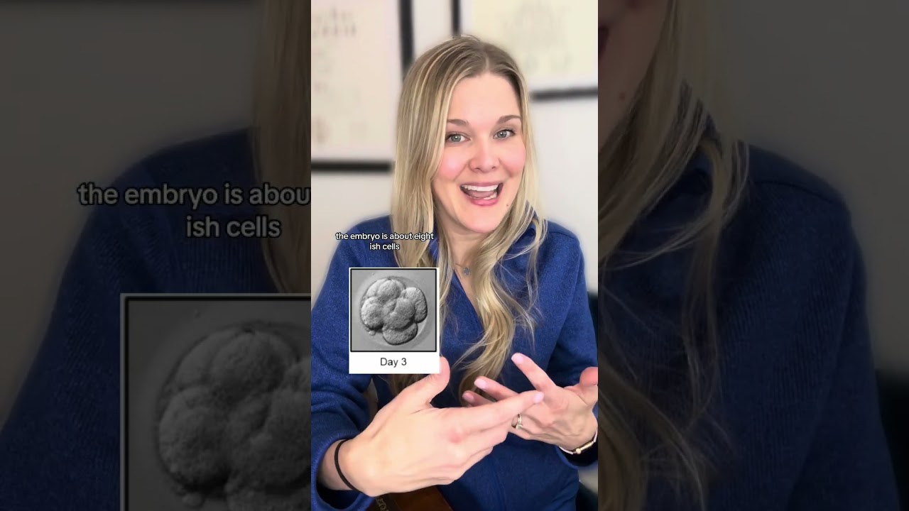 Are day 3 or day 5 embryos better?
