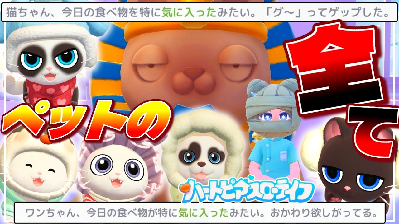 【後悔しない】ペットの選び方､好物の探し方､ペットの全てを解説!!【ハートピアスローライフ】
