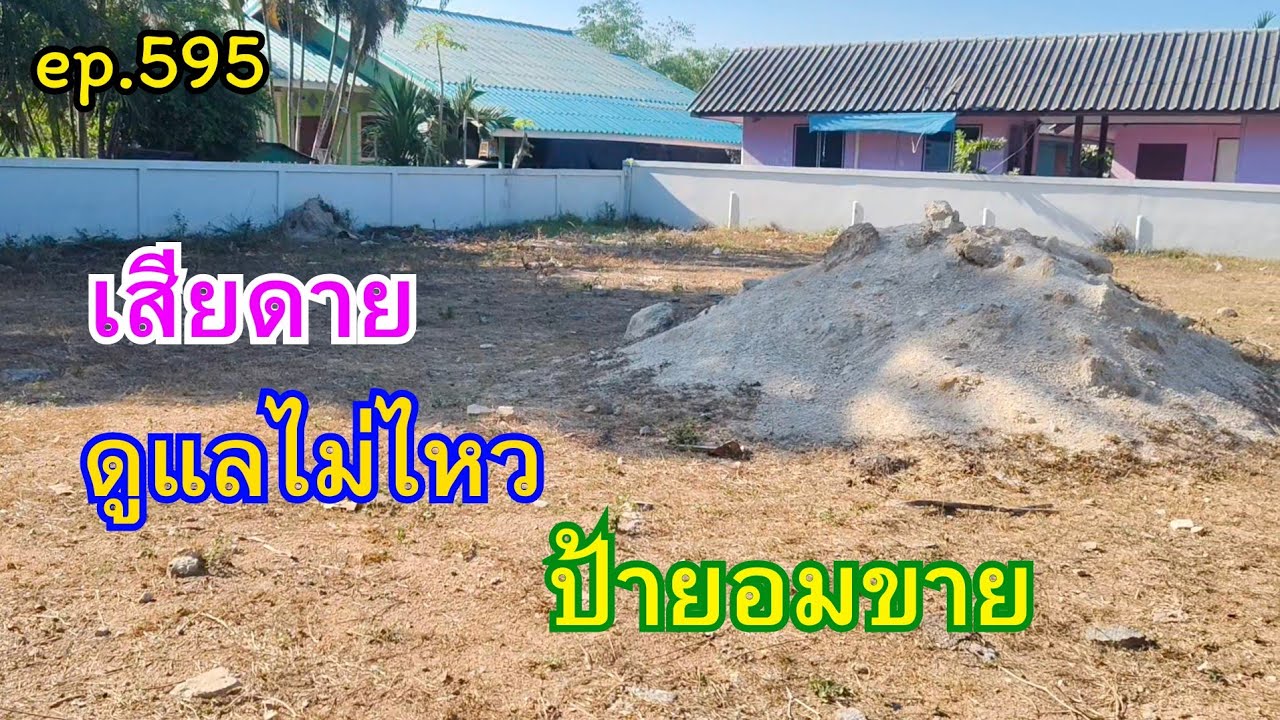 EP.595 ขายที่ราคาถูกๆๆ ขายเพราะจะย้ายที่อยู่ ถึงจะเสียดายต้องยอมขาย