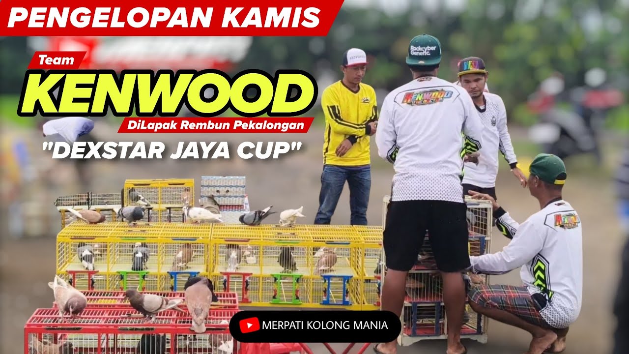 TERBARU‼️PENGELOPAN KENWOOD HARI KAMIS Event 