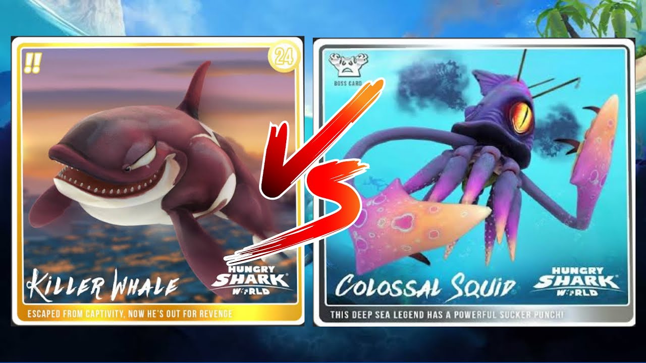 Killer Whale vs Colossal Squid Boss | Hungry Shark World | @dragonheartgaming123