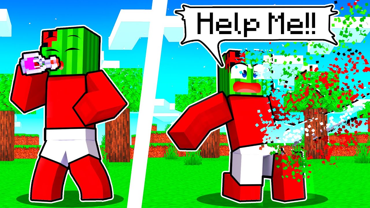 Melon VANISHED In Minecraft!