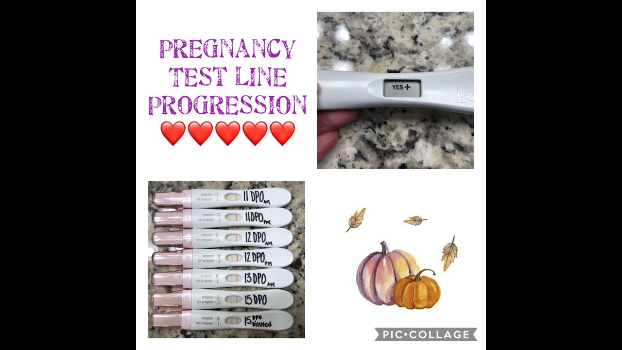 PREGNANCY TEST LINE PROGRESSION AFTER BFP! TWINS AGAIN!?  HOOK EFFECT?|FOUR LITTLE FINS