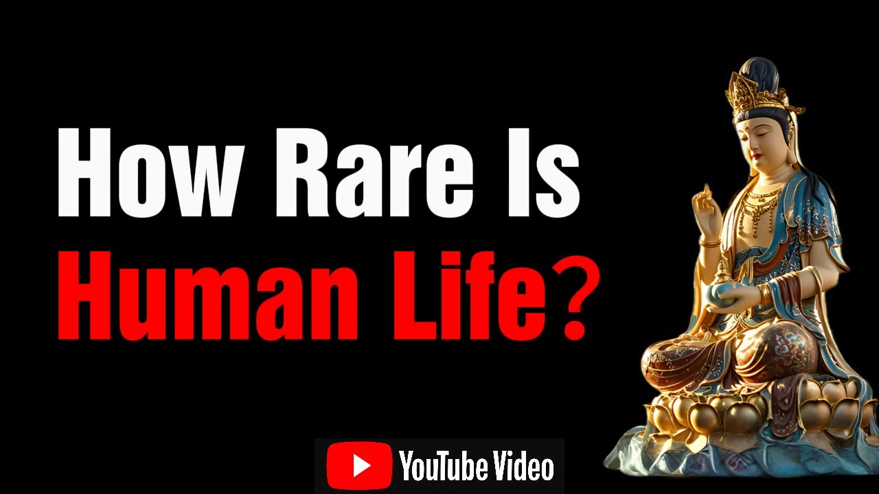 How Rare Is Human Life？The Truth Behind the Buddha&rsquo;s Warning About Existence