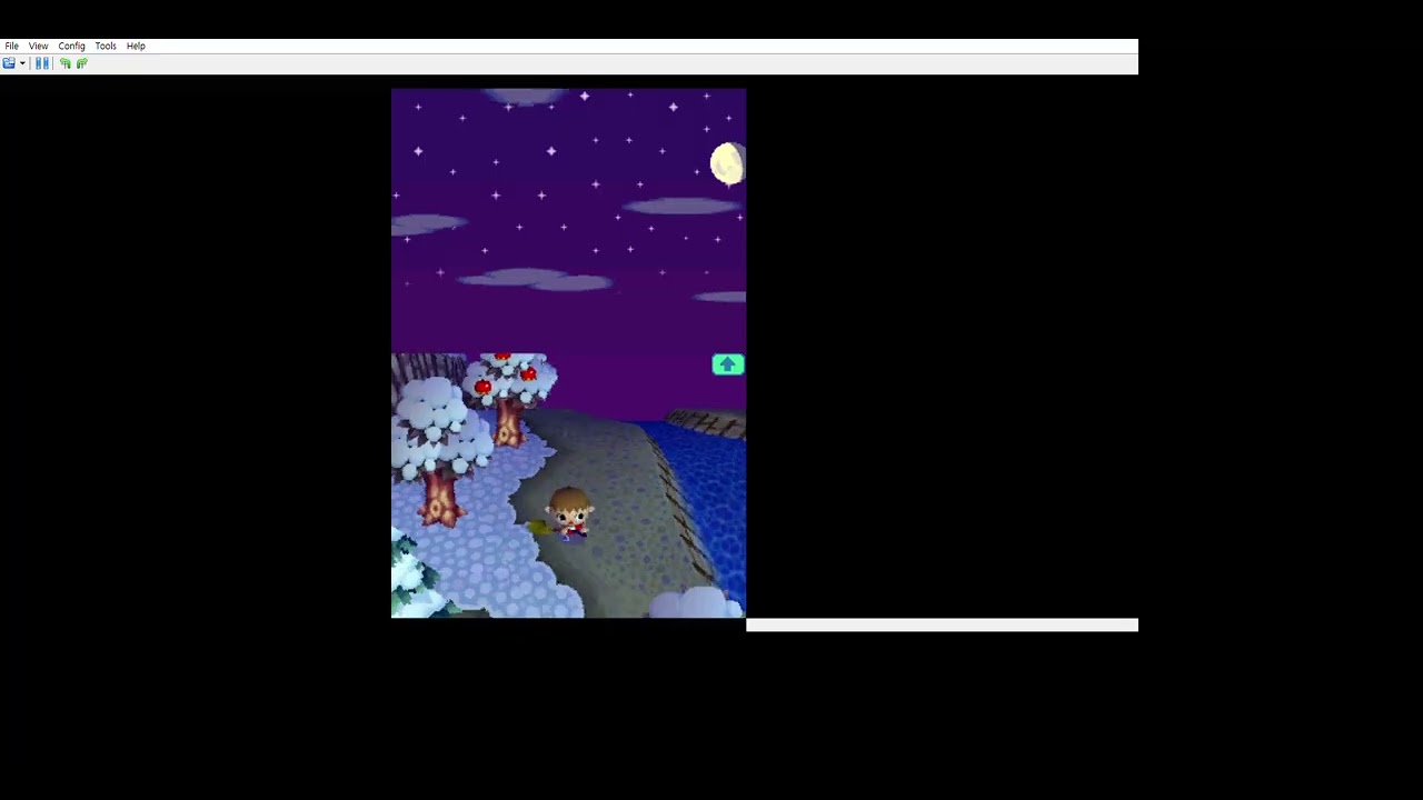 닌텐도 DS 놀러오세요 동물의 숲 17화입니다