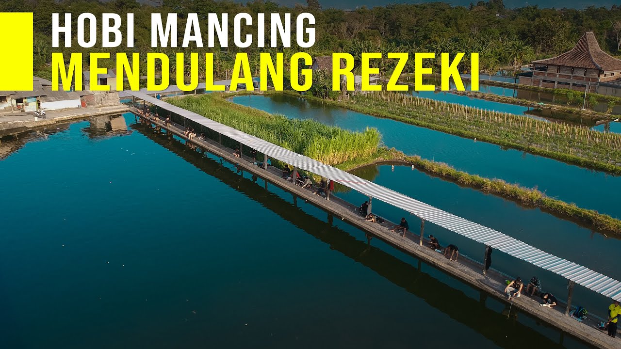 TIPS 31 TAHUN USAHA KOLAM PEMANCINGAN IKAN TETAP EKSIS