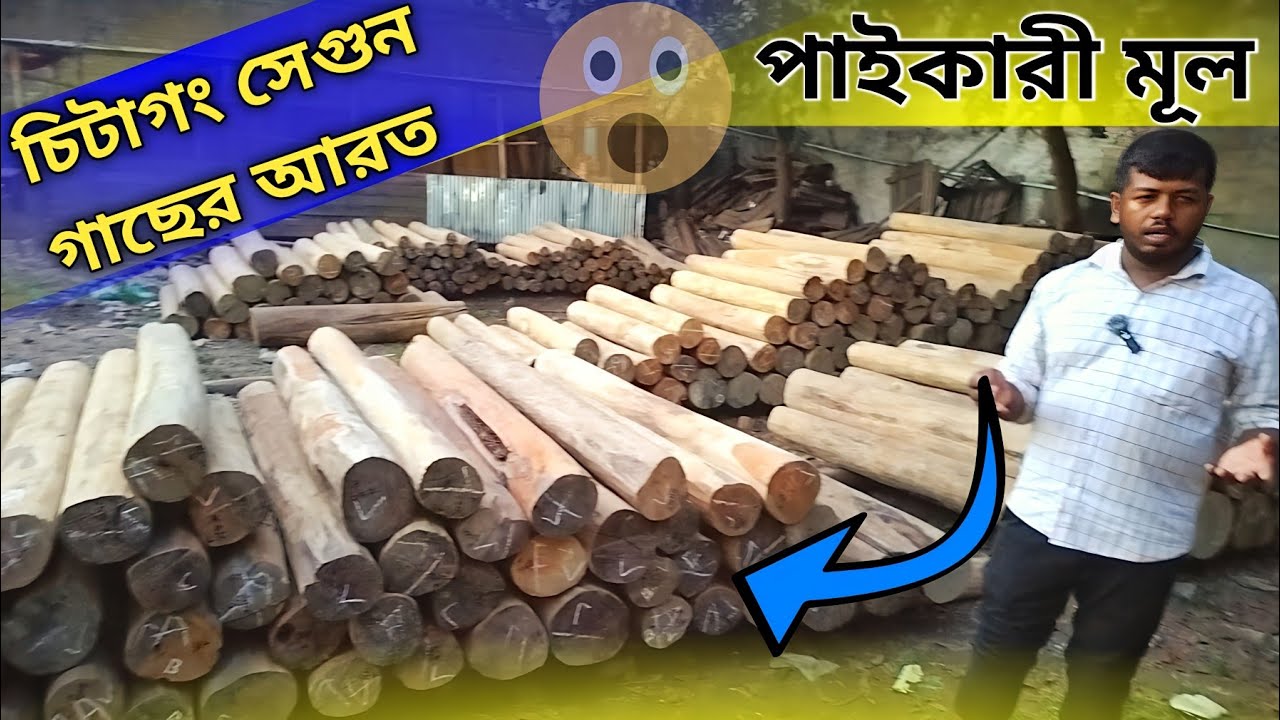 পাইকারি মূল চিটাগাং সেগুন গাছ || Wholesale Segun Wood Arat Price Update ||