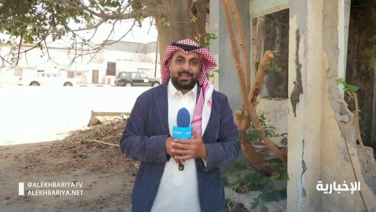 شجرة التبلدي من أندر الأشجار في محافظة الوجة وثمارها لها فوائد صحية و مذاق محبب لدى الكثير