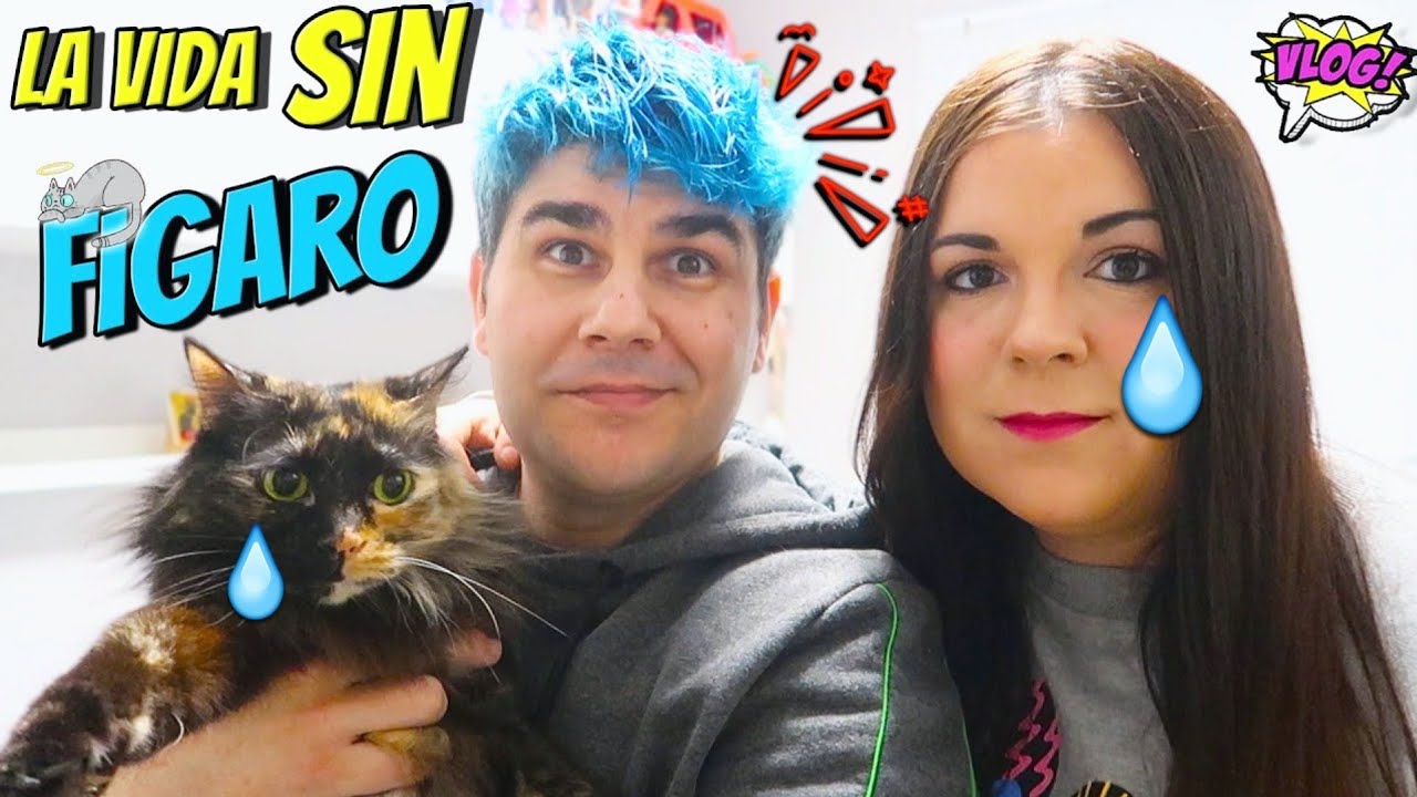 La vida sin mi mascota 😥 Nuestro gato FÍGARO está en el cielo ⭐✨ VLOG Retos Divertidos