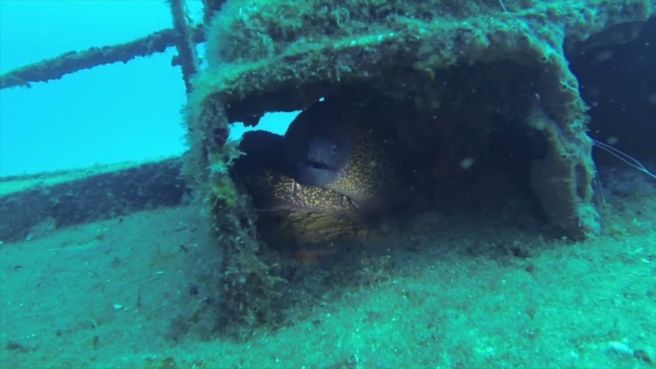 MALTA 2018