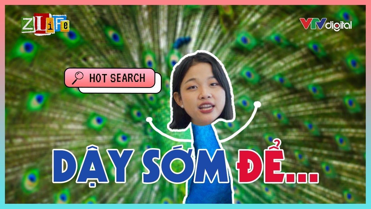 Dậy sớm có thể đi đến được Thành Công? | Zlife