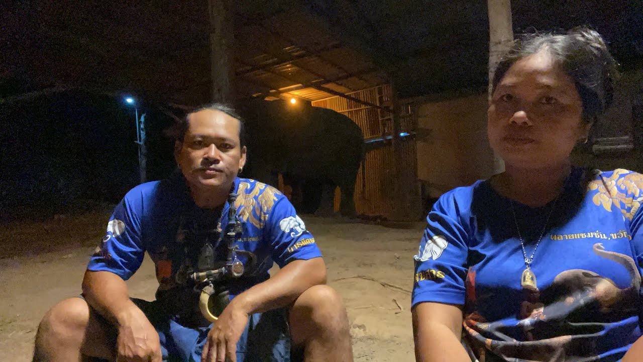 มาฟังเรื่องราวสนุกๆ💢กับพลายสอน‼️ชีวิตจริงยิ่งกว่าละคร