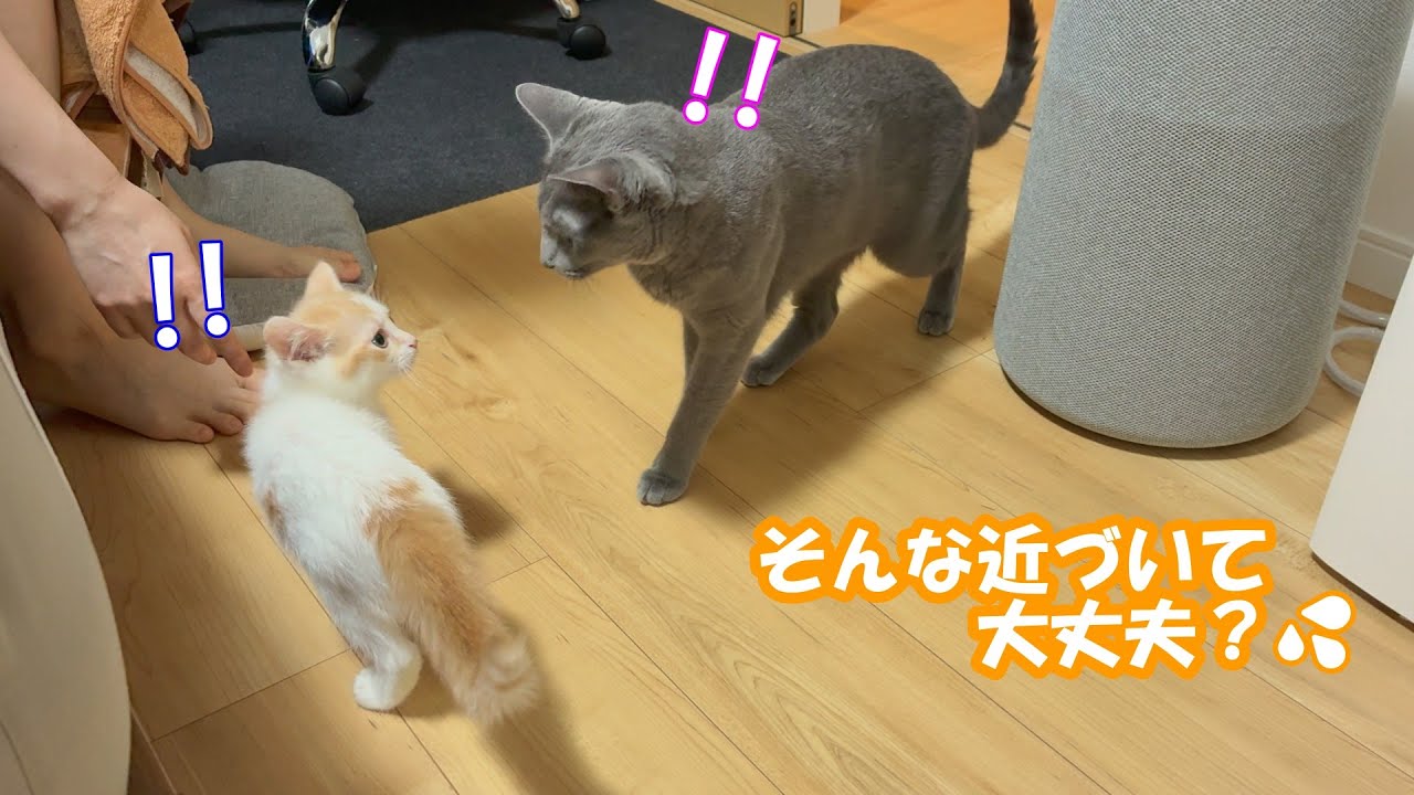 ついにフリーな状態で対面しました！遮るものは何もない！