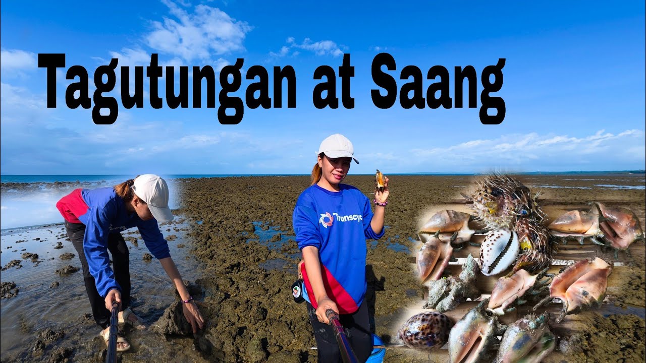 Balik na ulit tayo sa Hibasanan #fyp #seafood #simplelife #catchandcook 