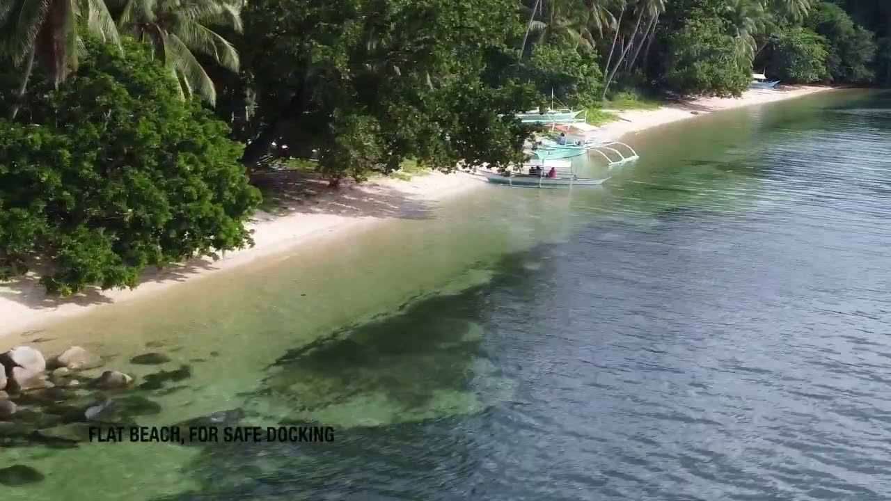 Beach Lot For Sale in Palawan | Own a piece of Paradise