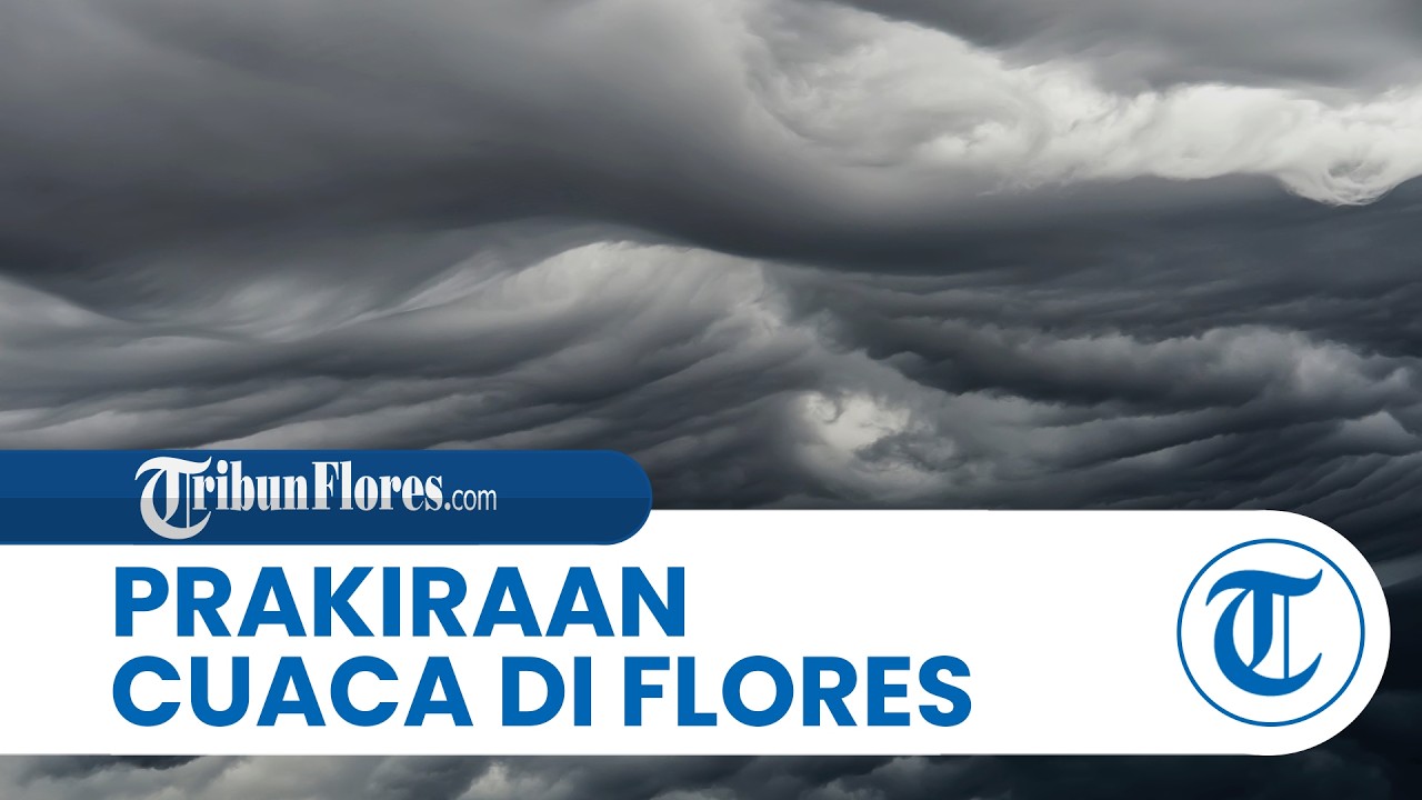 Prakiraan Cuaca di Flores Senin, 23 Februari 2026, Sebagian Wilayah Dilanda Hujan Intensitas Sedang
