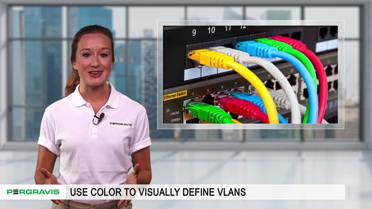 Pergravis Quick Tip 1: Use Color to Visually Define VLANs